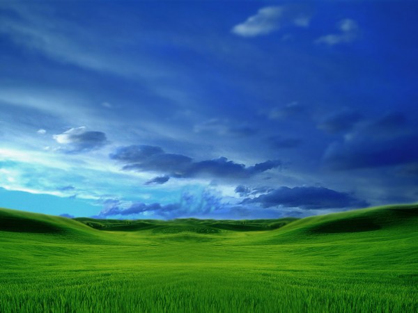 green-grass-and-blue-sky